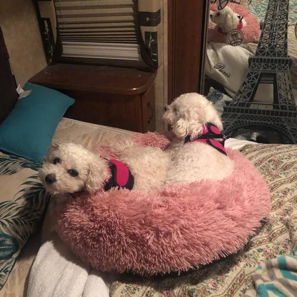 Meet your Posher, Val - Picture 1 of 1